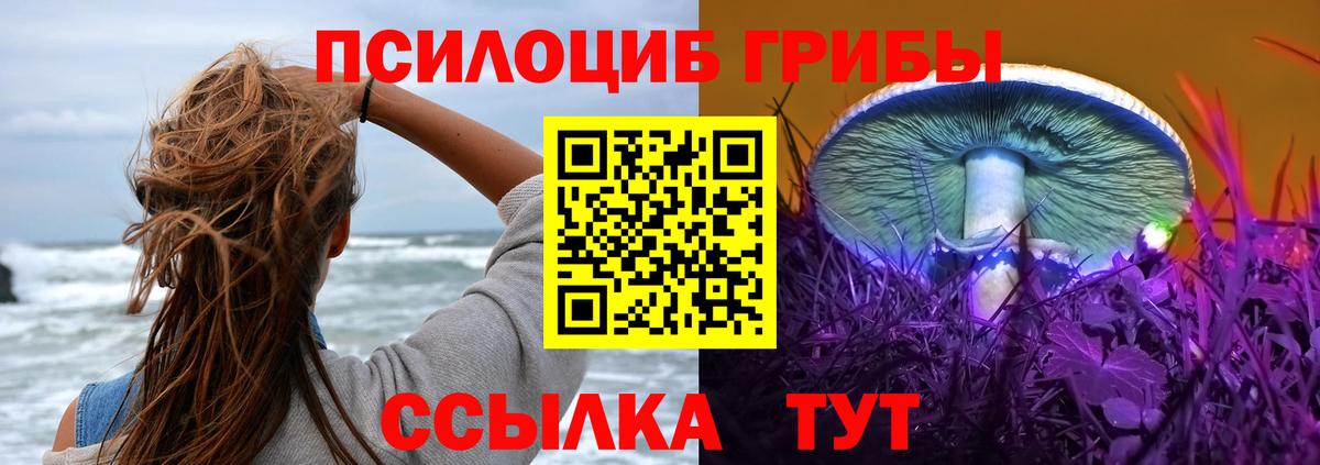 Михайловск  Псилоцибиновые грибы прущие грибы  Вход с VPN  Галлюциногенные грибы GOLDEN TEACHER 