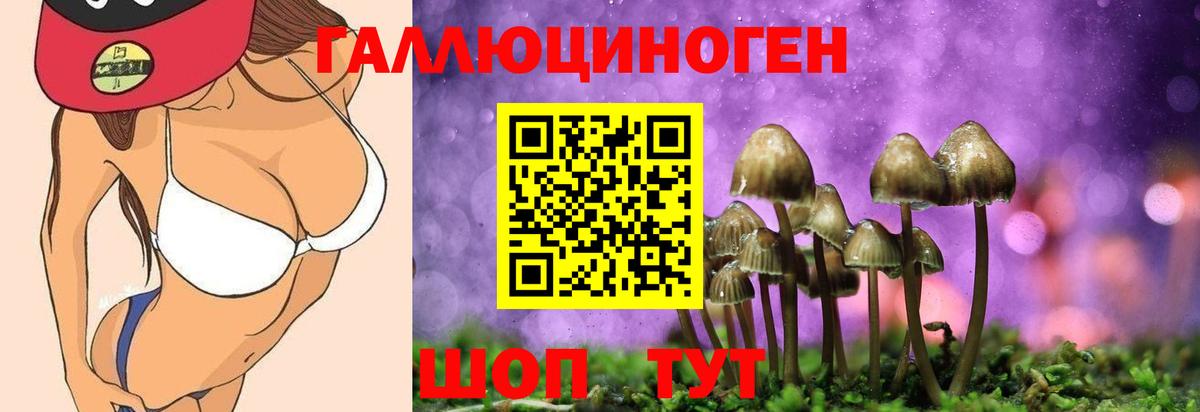 Галлюциногенные грибы прущие грибы Михайловск
